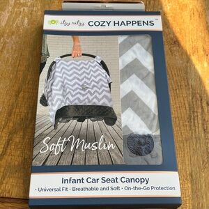Itzy Ritzy Chevron Gray Car Seat Canopy